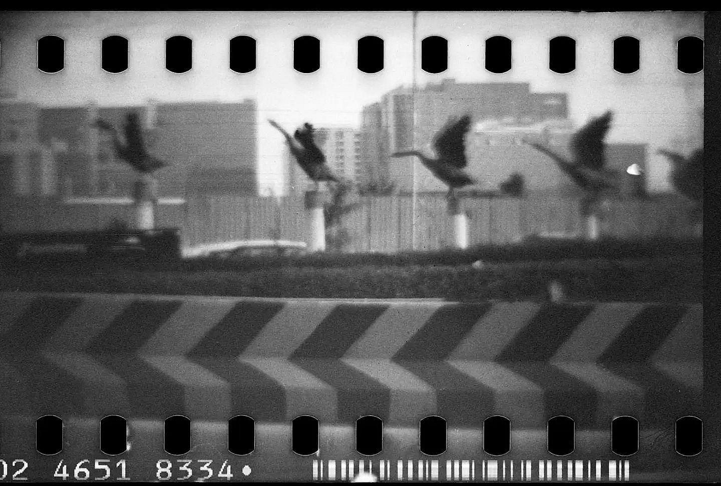 VeeraSasidhar Jangam