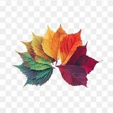 Test User5 Test User5